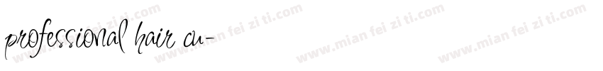 professional hair cu字体转换